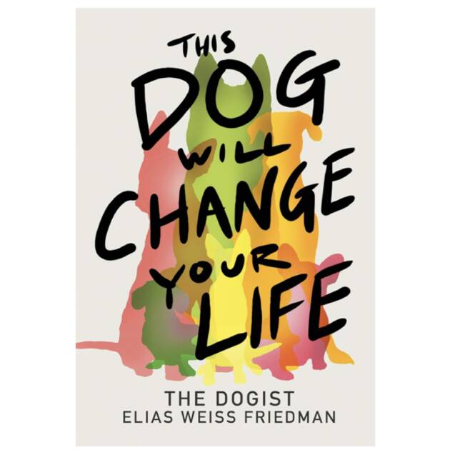 This Dog Will Change Your Life By The Dogist