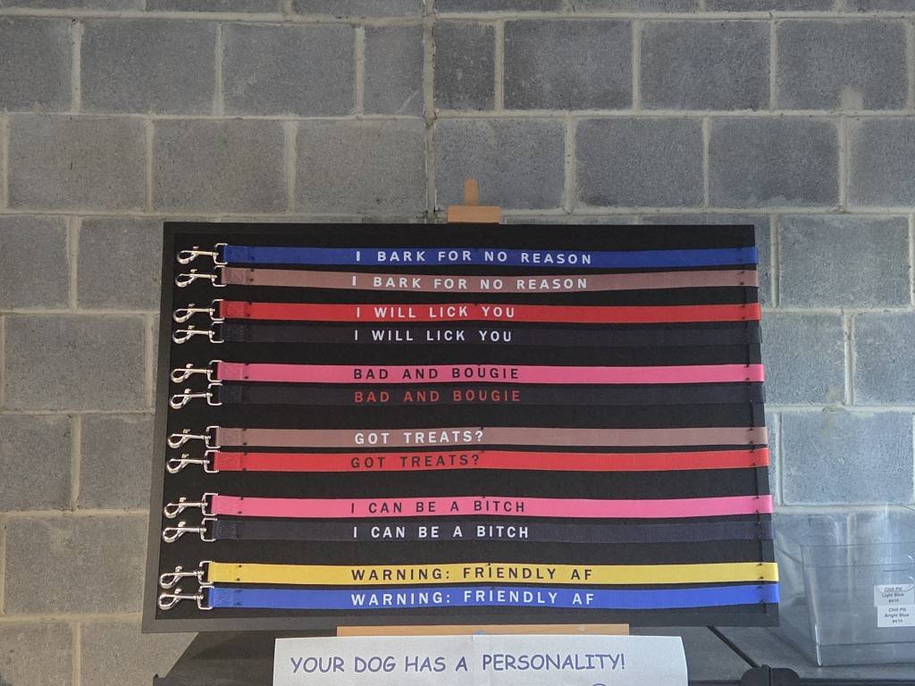 Dog Personality Leads