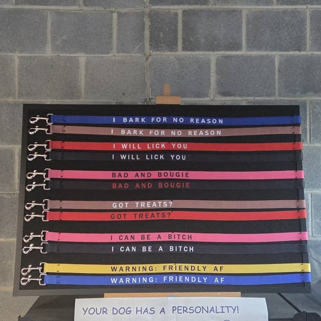 Board showing all twelve Dogge Dog Personality Leads